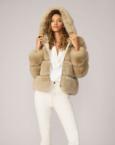 Landau Hooded Jacket