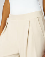 Pleated Wide Leg Stretch Trouser
