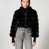High Collar Fox Faux Fur Jacket